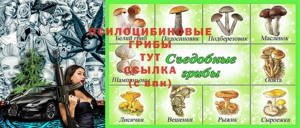ECSTASY Алексеевка