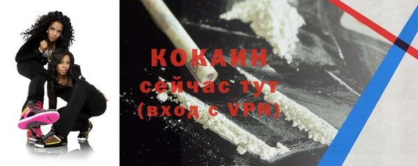 тгк Алзамай