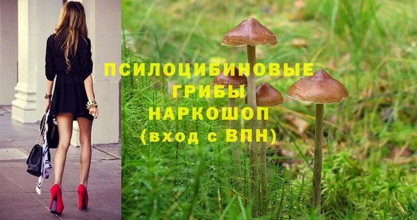 тгк Алзамай