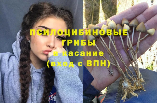 тгк Алзамай