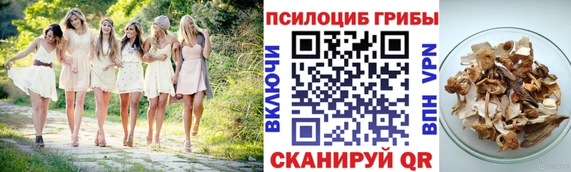 купить закладку  площадка наркотические препараты  Галлюциногенные грибы Cubensis  Арамиль  OMG ссылки 