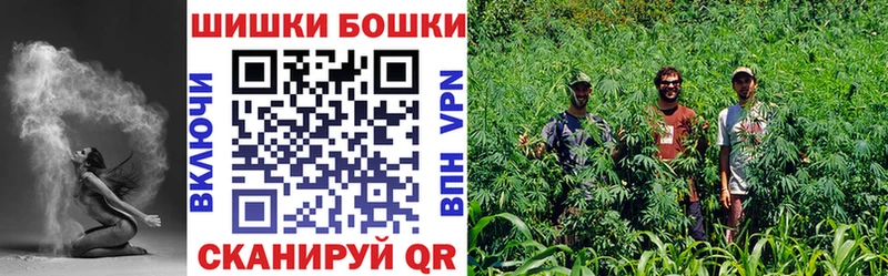 Бошки Шишки план  Арамиль 
